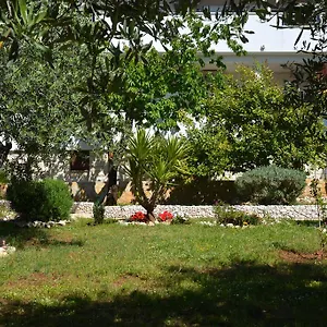 apartments-maslina-trogir.splithotels.org/